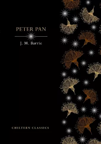 Peter Pan cover