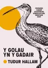 Y Golau yn y Gadair cover