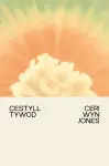 Cestyll Tywod cover