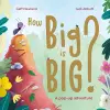 How Big is Big? cover