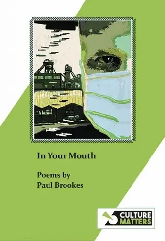 In Your Mouth cover