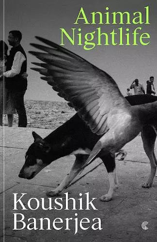 Animal Nightlife cover