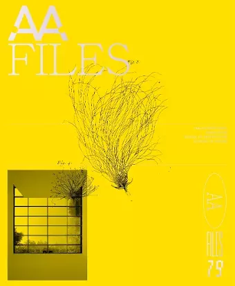 AA Files 79 cover