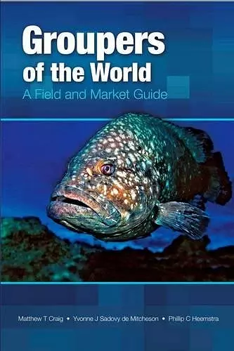 Groupers of the World cover