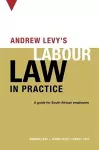 Andrew Levy’s guide to South African labour law cover