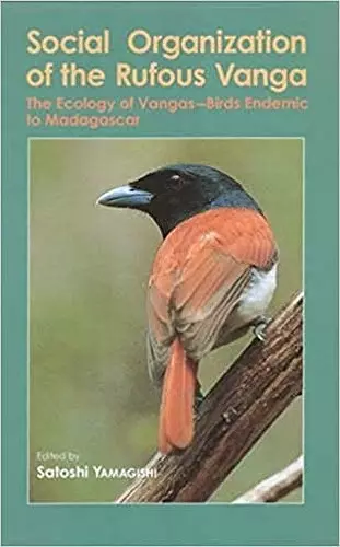 Social Organization of the Rufous Vanga cover