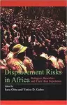 Displacement Risks in Africa cover