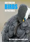 Australian Birds in Pictures cover