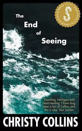 The End of Seeing cover