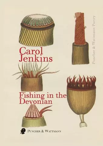Fishing in the Devonian cover