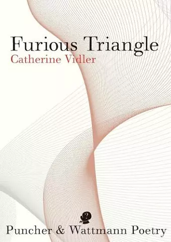 Furious Triangle cover