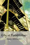 City of Possibilities cover