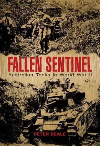 Fallen Sentinel cover