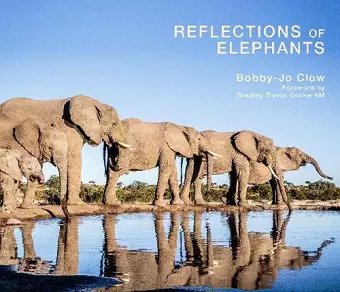 Reflections of Elephants cover