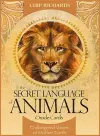 The Secret Language of Animals cover