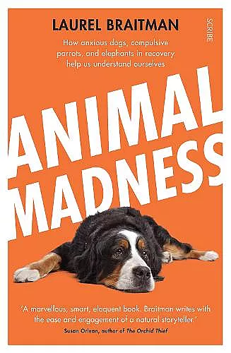 Animal Madness cover