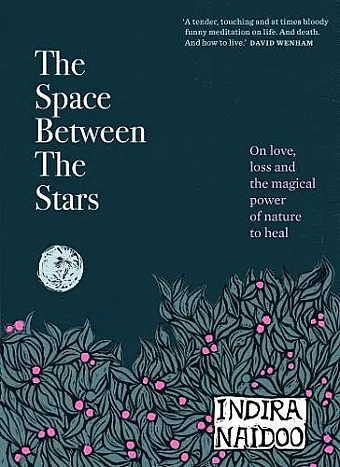 The Space Between the Stars cover