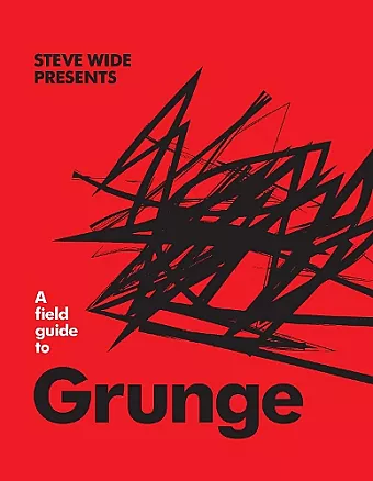 A Field Guide to Grunge cover