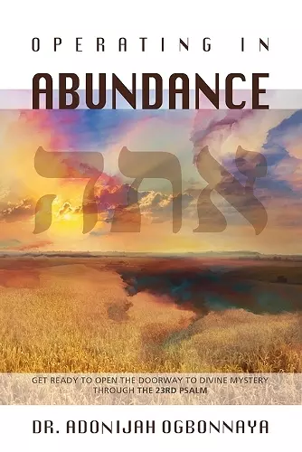 Operating in Abundance cover