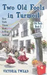 Two Old Fools in Turmoil cover