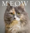 Meow cover