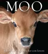 Moo cover