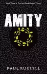 Amity cover