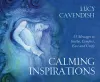 Calming Inspirations - Mini Oracle Cards cover