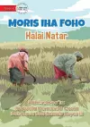 Living In The Village - Rice Cultivation - Moris iha Foho - Halai Natar cover