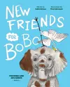 New Friends for BoBo cover