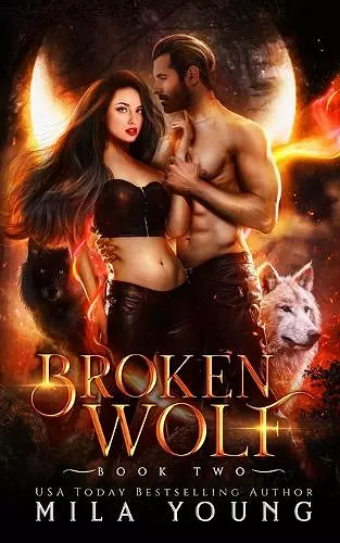 Broken Wolf cover