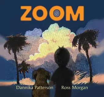 Zoom cover