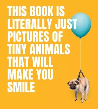 This Book Is Literally Just Pictures of Tiny Animals That Will Make You Smile cover