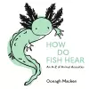 How Do Fish Hear cover
