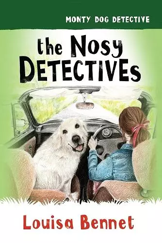The Nosy Detectives cover