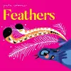 Pete Cromer: Feathers cover