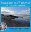 Spyridium in the Wilderness cover