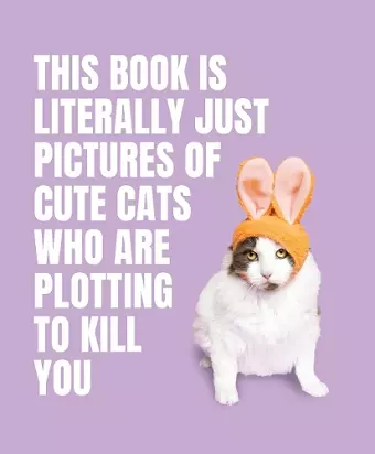 This Book is Literally Just Pictures of Cute Cats Who Are Plotting to Kill You cover