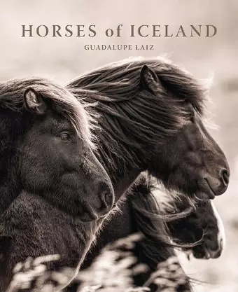 Horses of Iceland cover