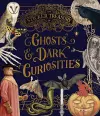 The Sticker Treasury of Ghosts & Dark Curiosities cover