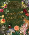 The Sticker Treasury of Woodland Adventures cover