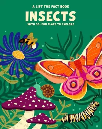 Lift the Fact: Insects cover