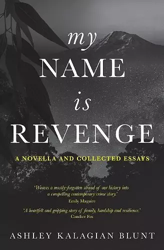 My Name Is Revenge cover