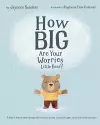 How Big are Your Worries Little Bear? cover