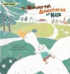 The Wonderful Adventures of Nils cover