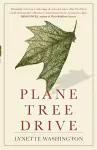 Plane Tree Drive cover