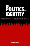 The Politics of Identity cover