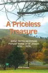A Priceless Treasure cover