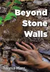 Beyond Stone Walls cover