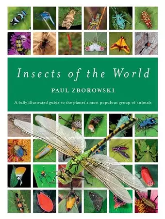 Insects of the World cover